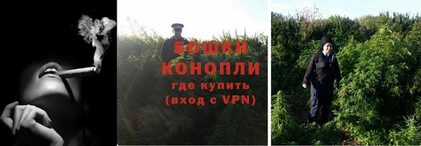 дмт Бородино