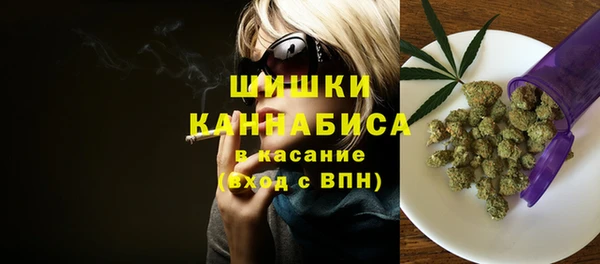 PSILOCYBIN Мегион