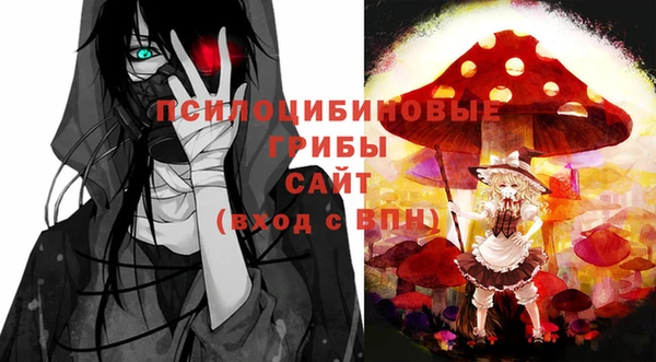 мескалин Богородицк