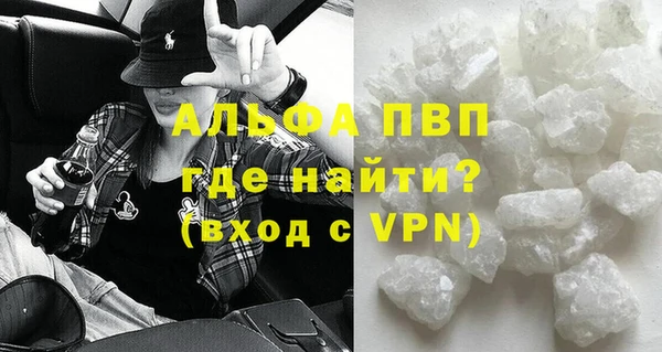 дмт Бородино