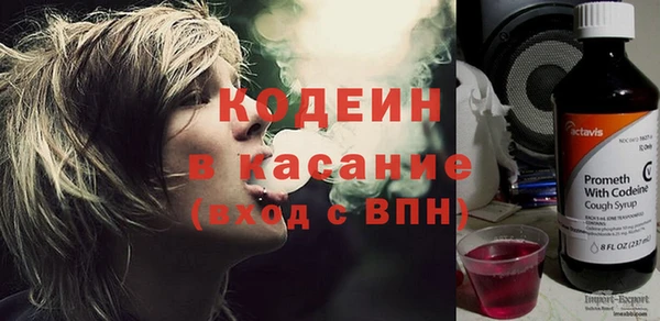 дмт Бородино