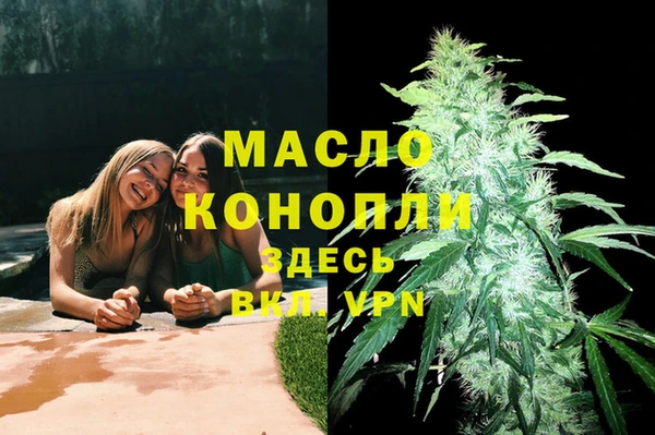 дмт Бородино